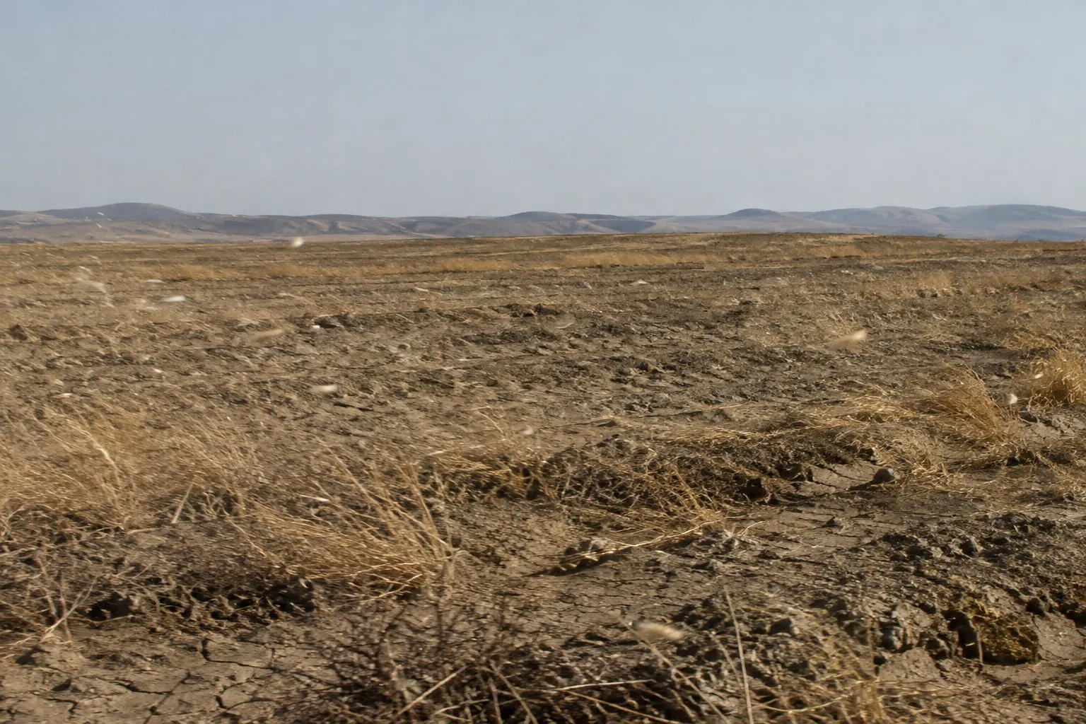 How Long Will the Land Mourn? (Jeremiah 12:4)