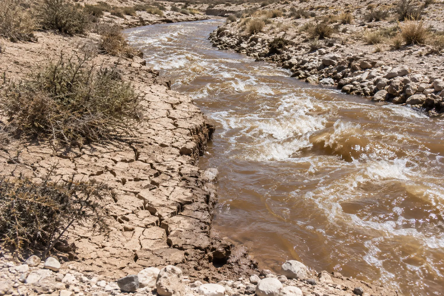 Streams in the Negev (Psalms 126:4)