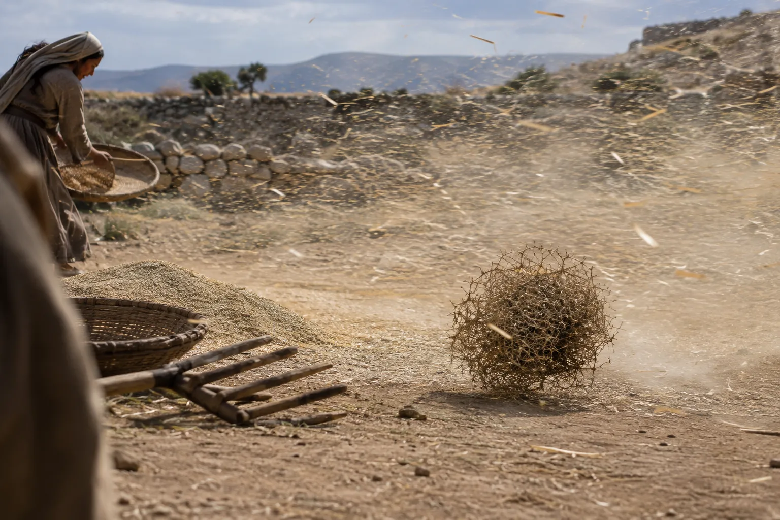 Like Chaff Before the Wind (Psalms 83:13)