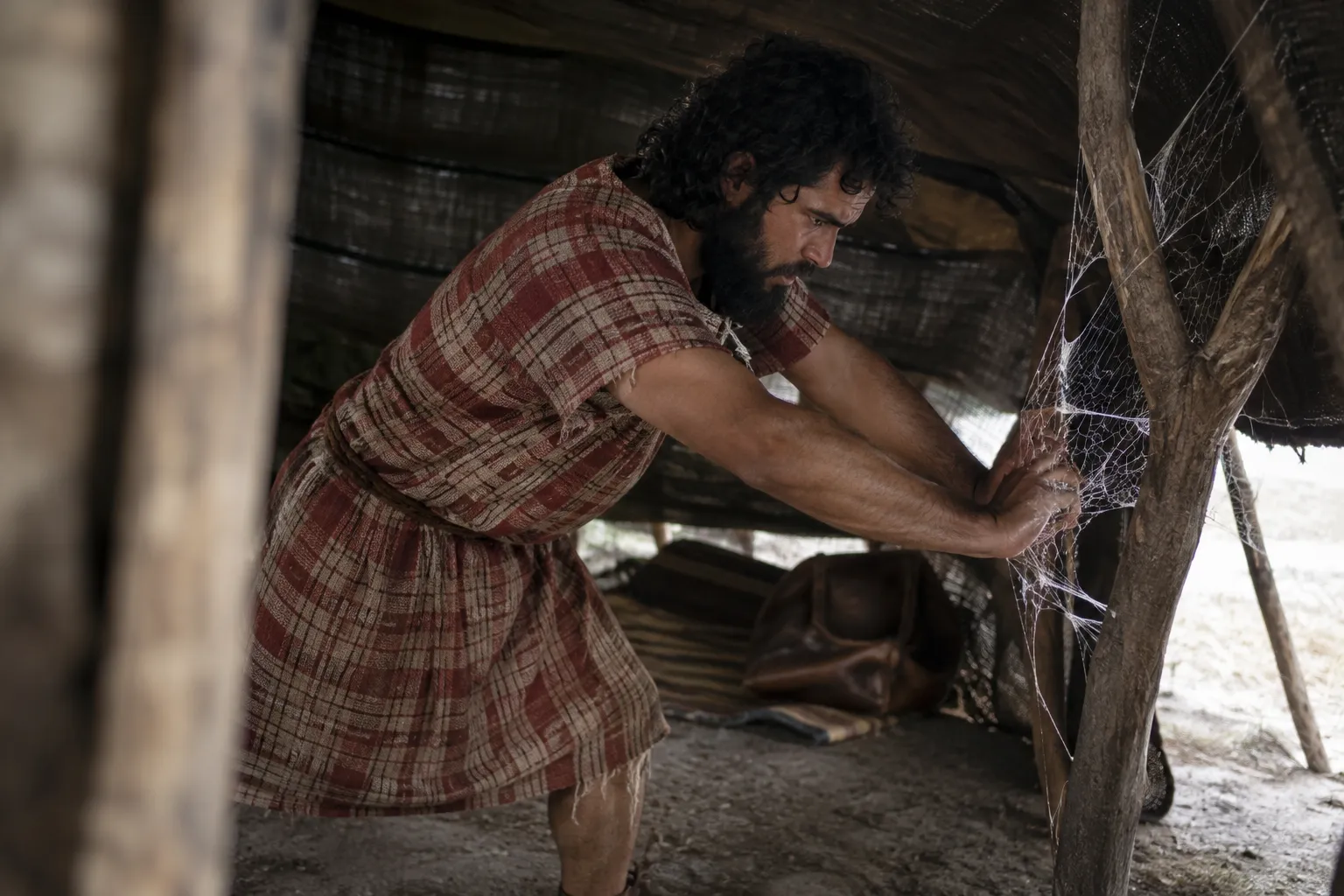 Confidence Like a Spider’s Web (Job 8:14–15)